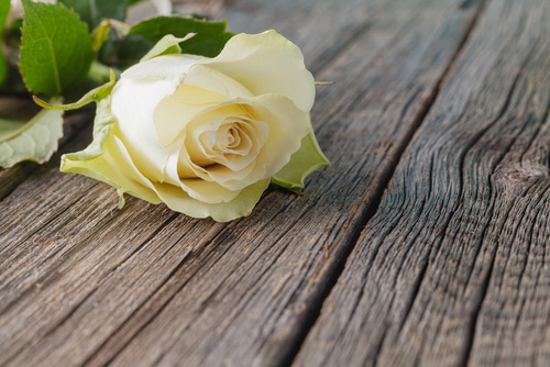 What we do—Affordable funerals in Rockhampton City, QLD